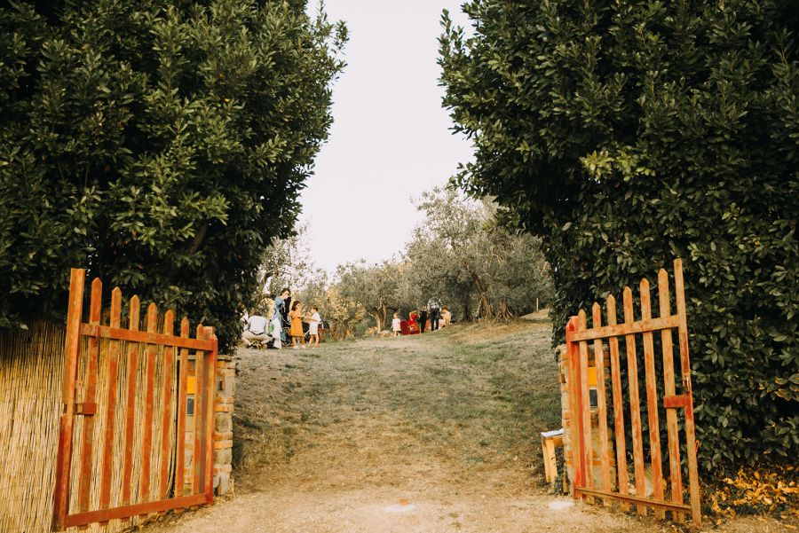 155.JPG