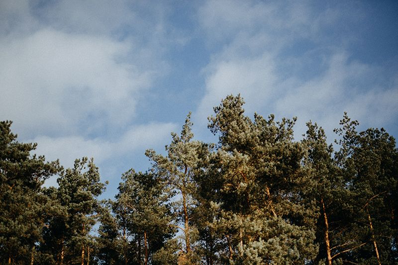 K_P38.jpg